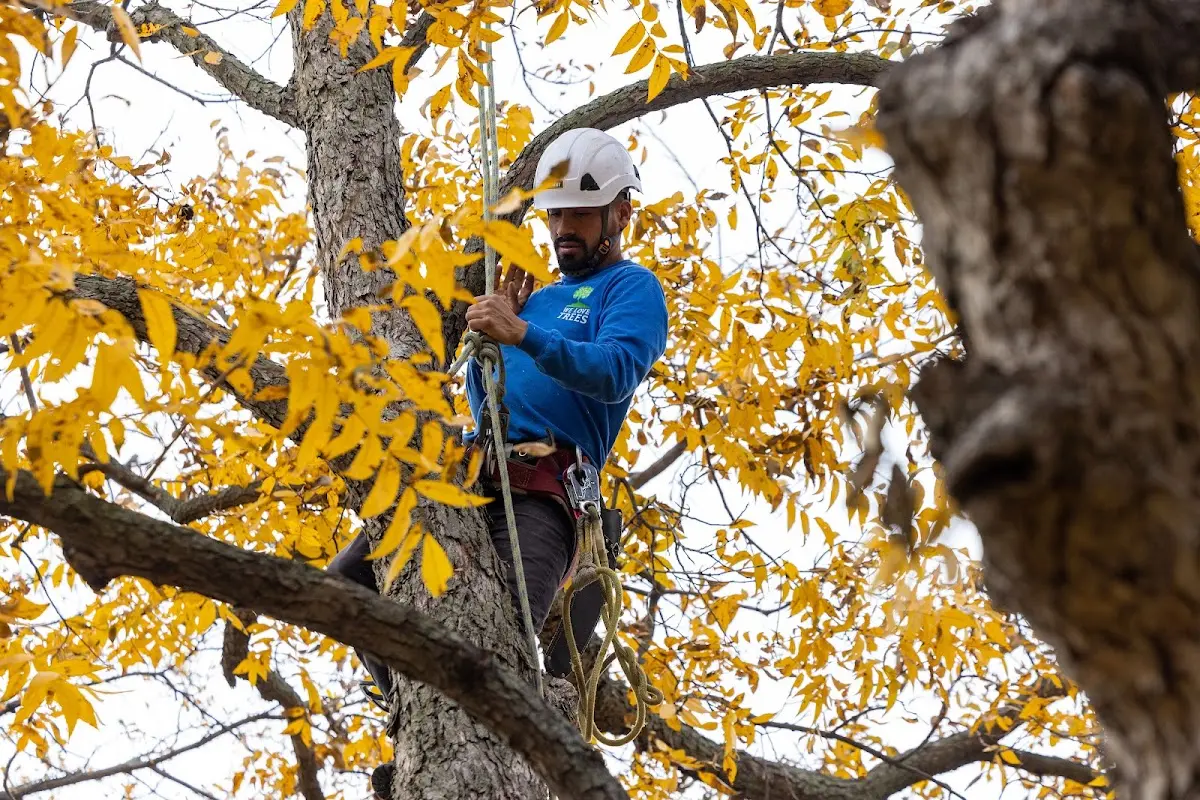 Skilled Storm Damage Cleanup crew working in Depew
