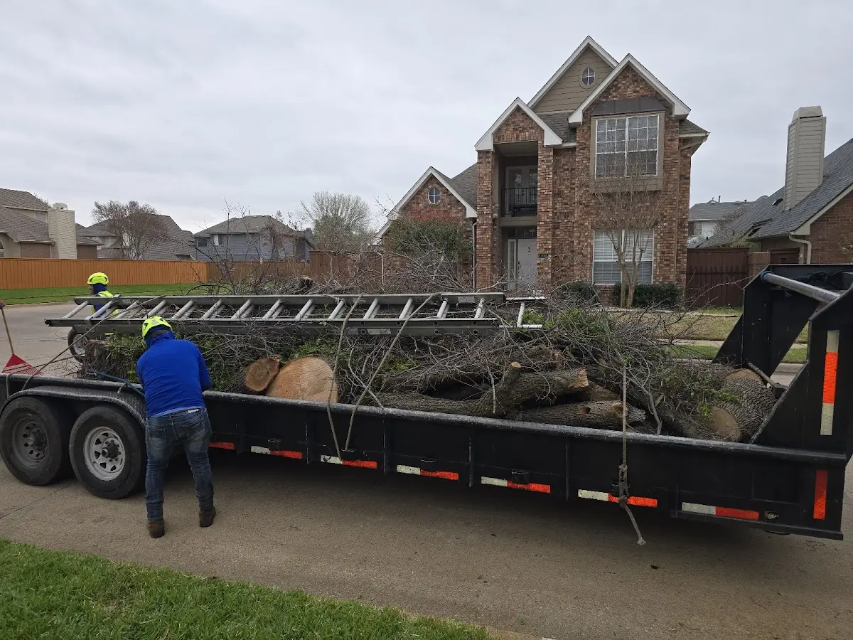 Expert Lot Clearing with proper safety equipment in Depew